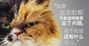 母貓絕育后性格會(huì)變嗎